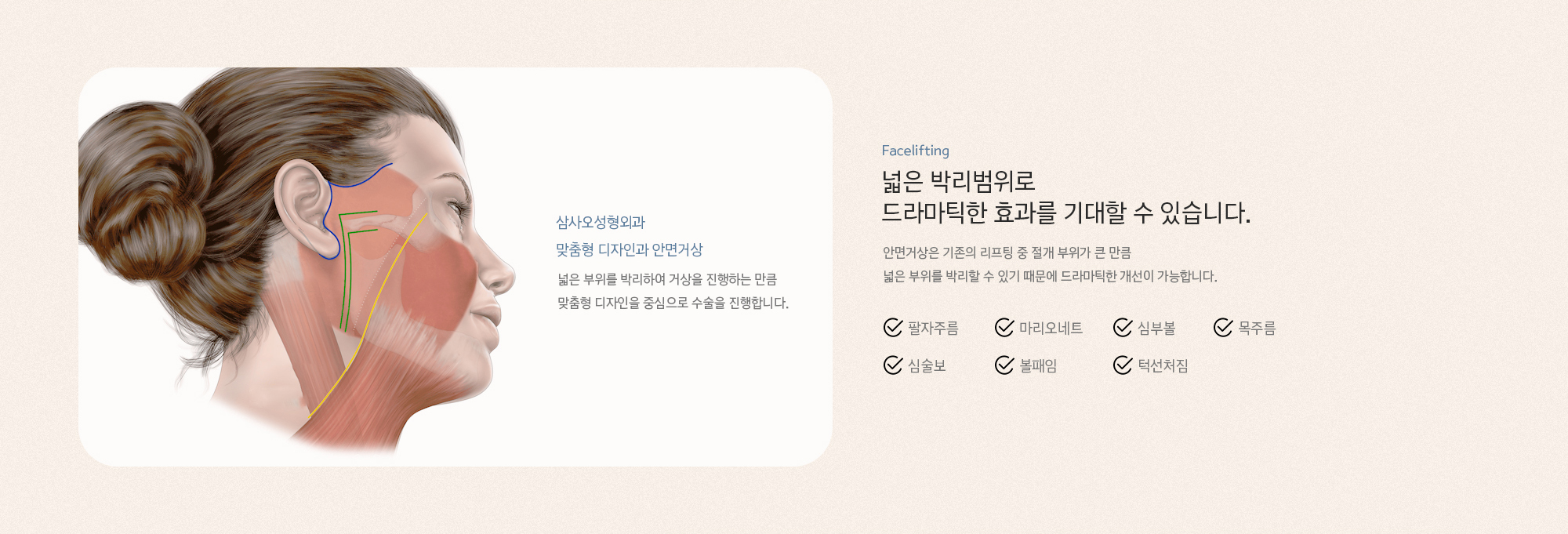 넓은 박리범위로 드라마틱한 효과를 기대할 수 있습니다. 안면거상은 기존의 리프팅 중 절개 부위가 큰 만큼 넓은 부위를 박리할 수 있기 때문에 드라마틱한 개선이 가능합니다.